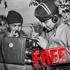 Бесплатный ремонт техники в честь ветеранов войны